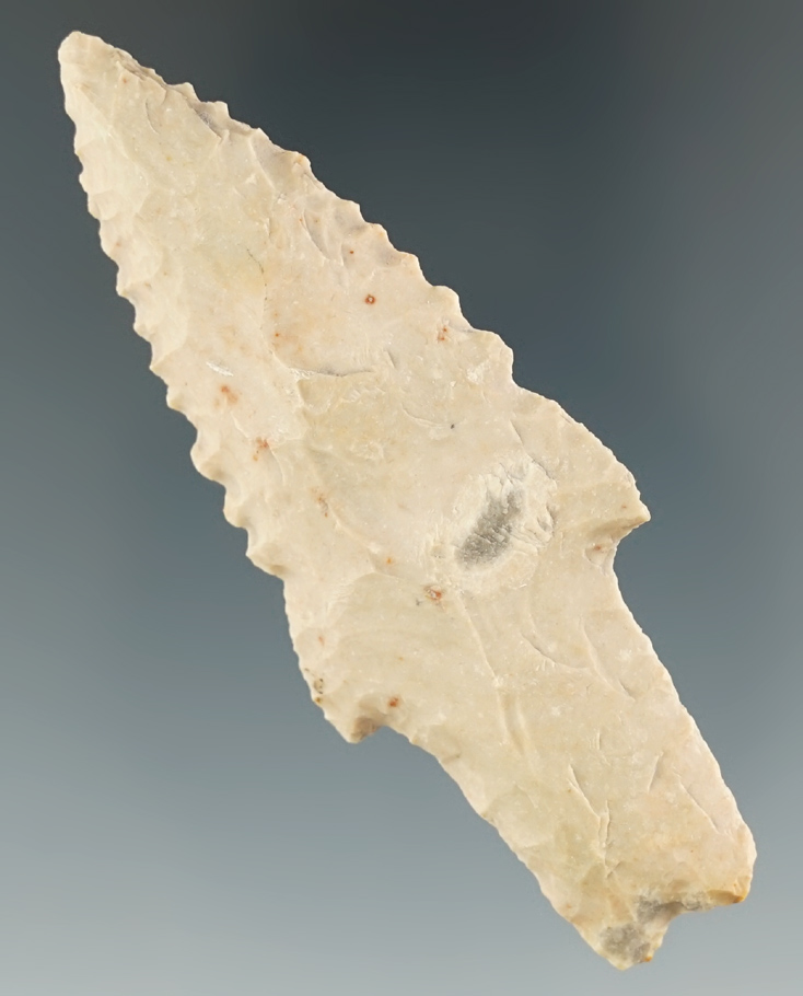 3 1/16" Nicely serrated Wells Point found in Central Texas.