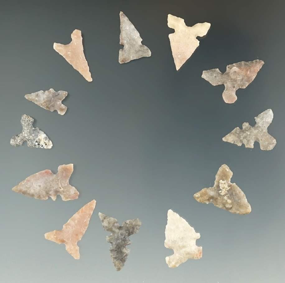 Set of 12 Toyah Points found in Texas, largest is 7/8".