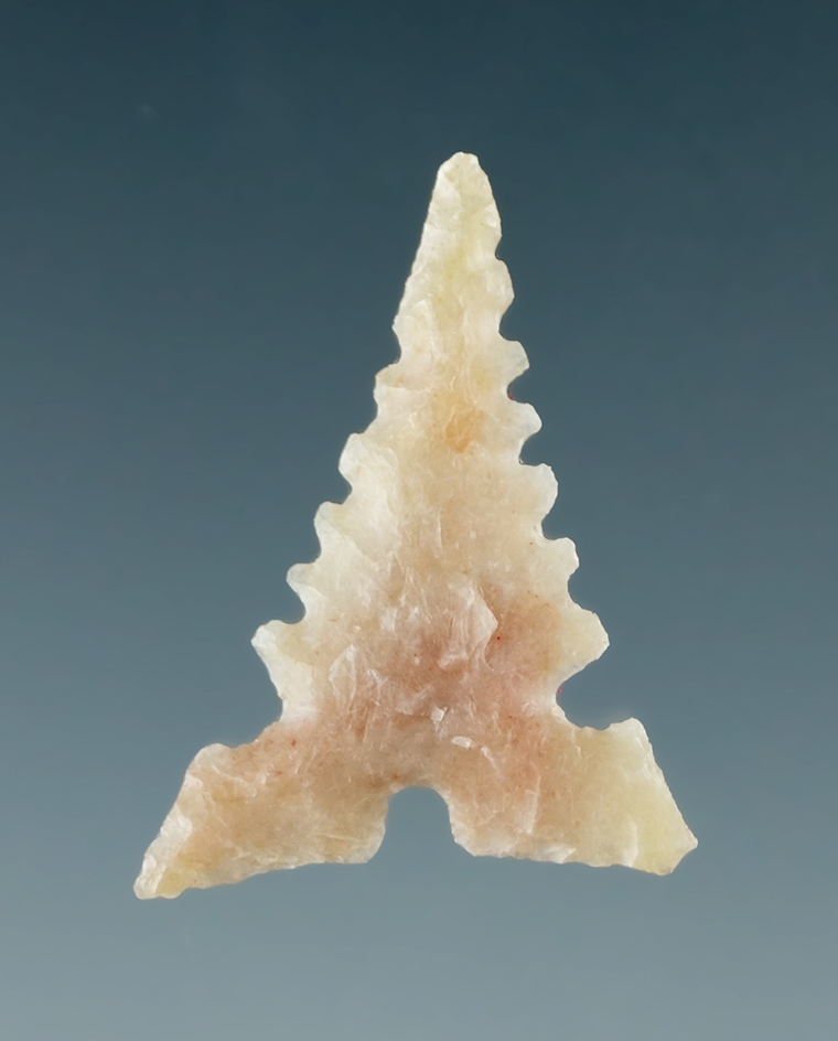 7/8" Highly serrated Toyah found in Texas.