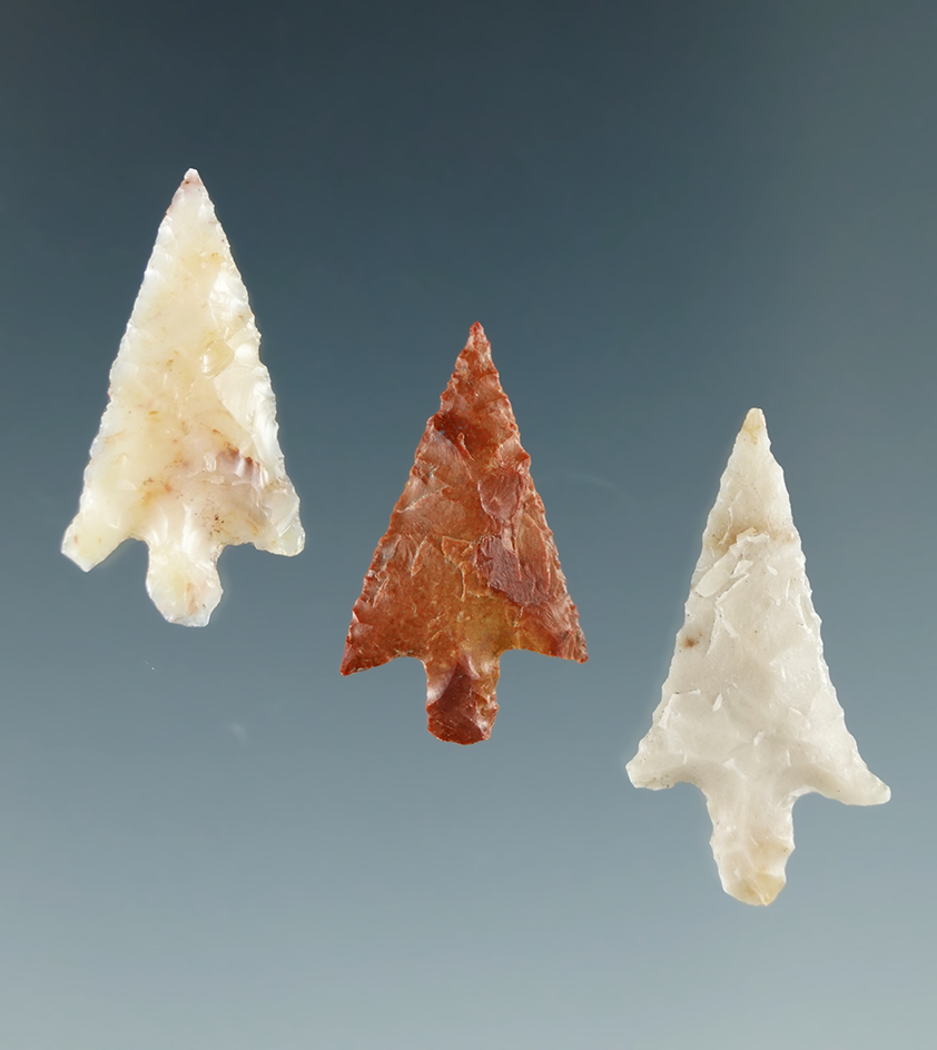 Set of three Walulla points found along the Columbia River, largest is 7/8". Ex. Dewey Schmid collec