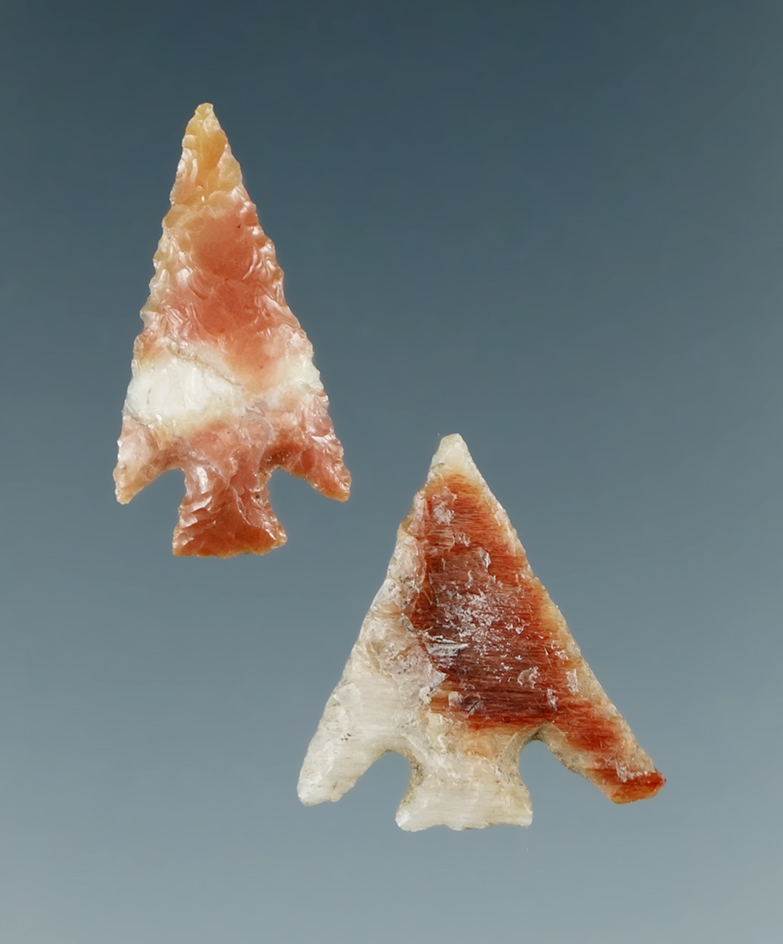 Pair of Columbia Plateau points found near the Columbia River, largest is 13/16".