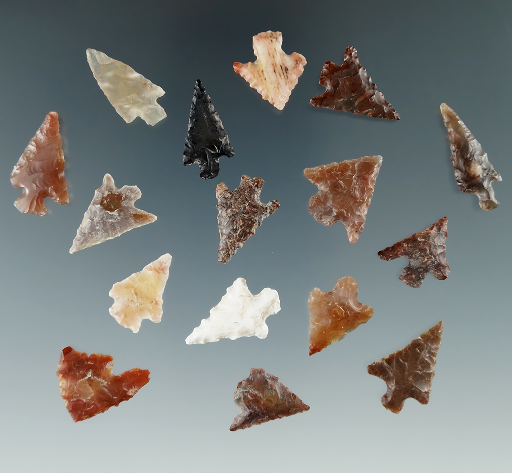 Group of 16 arrowheads found near the Columbia River by Norma Berg, largest is 7/8".