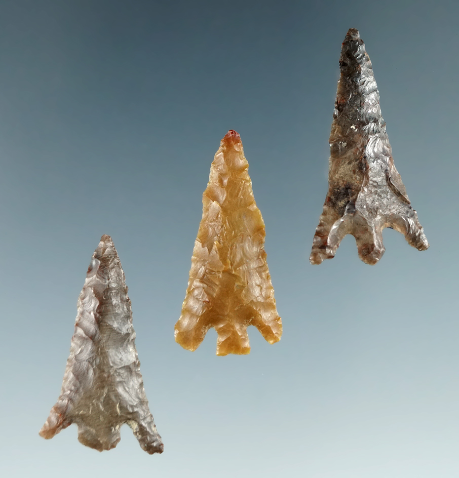 Set of three Columbia Plateau points found near the Columbia River, largest is 1 1/4".