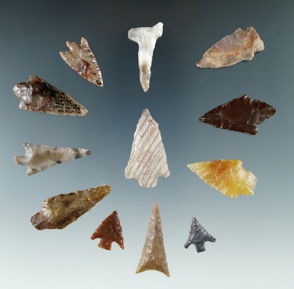 Group of 12 assorted arrowheads found by Kaye Don Bruce near the Columbia River. Largest is 1 1/2".