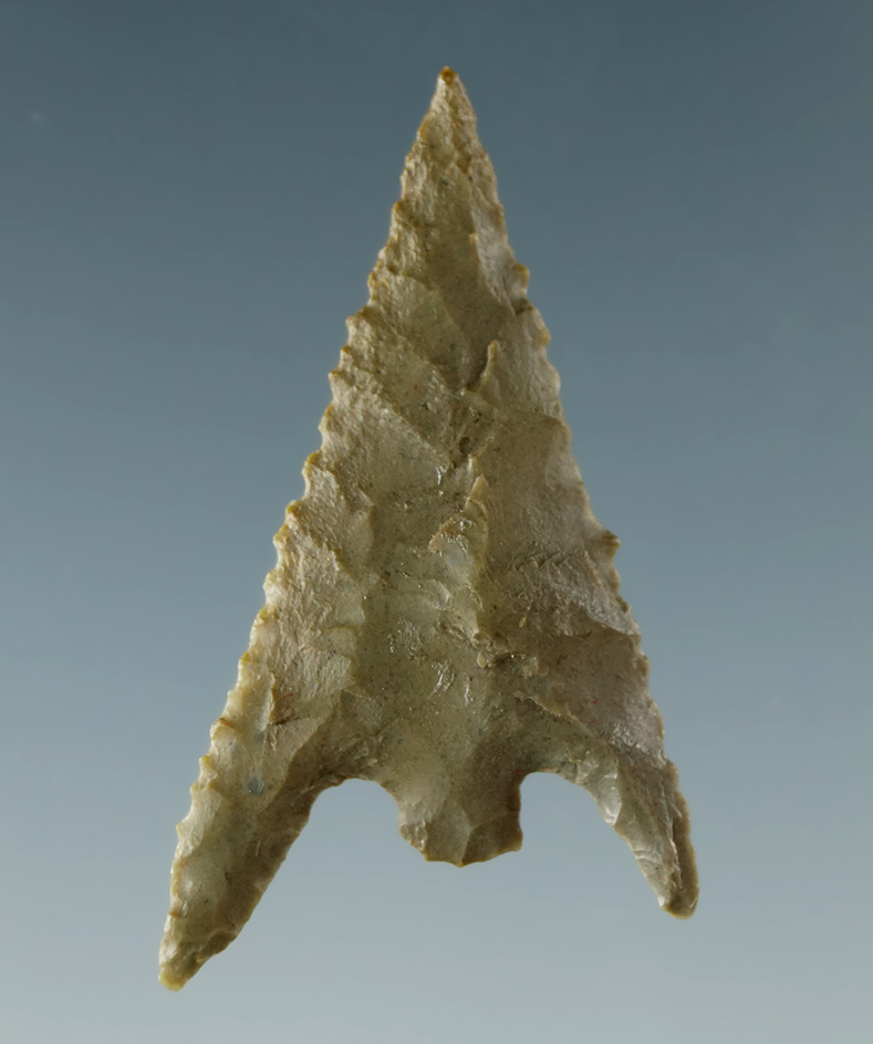 Exceptional! 1 5/16" Gunther found in Oregon.