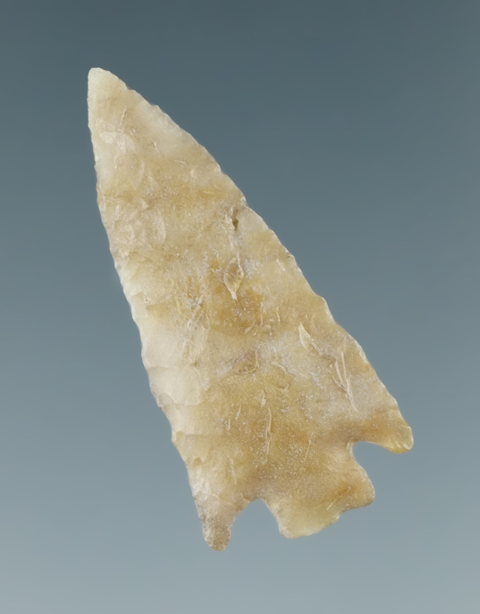 1 7/16" Rose Springs that is nicely styled found in Oregon.