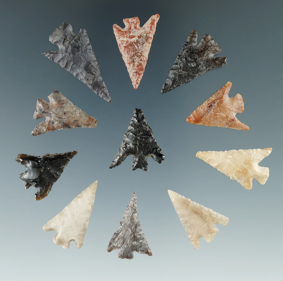 Group of 11 Columbia River arrowheads, largest is 1 5/16".