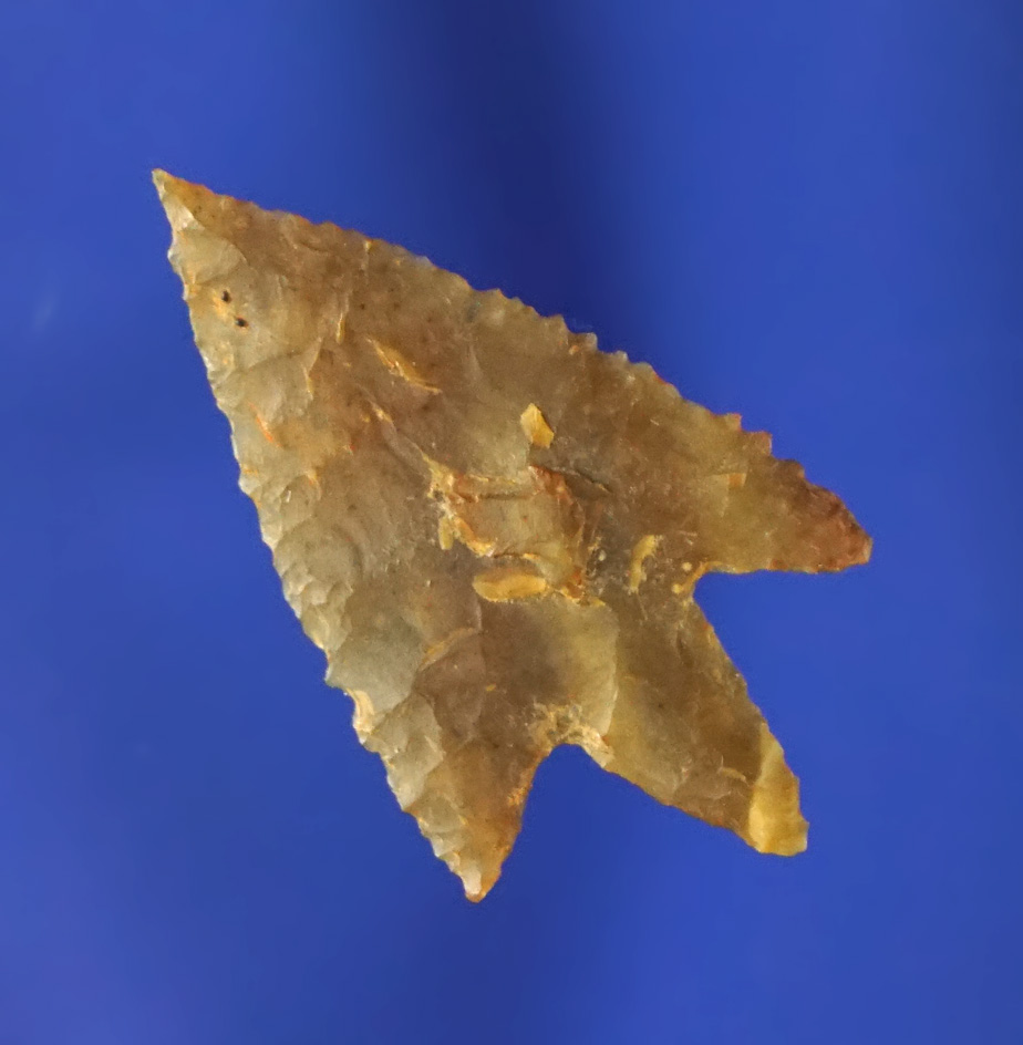 1 1/16" Perdiz point - translucent light brown Flint found in Angelina County Texas. German COA.
