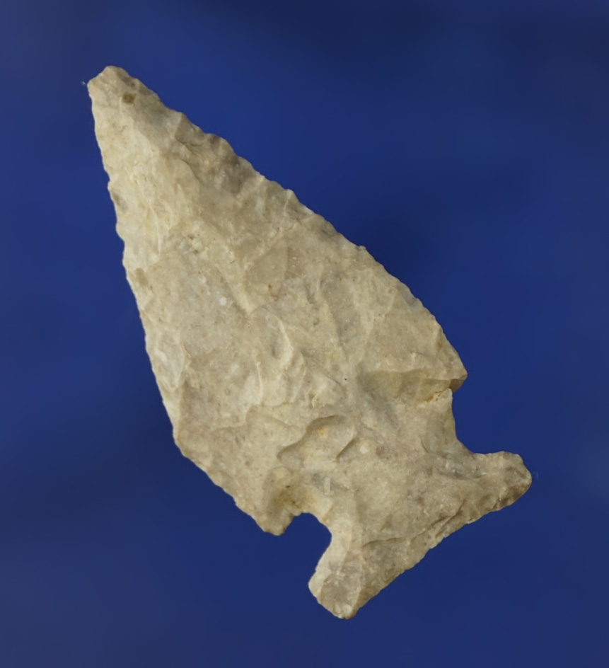 1 11/16" Jack's Reef Pentagonal found in Ohio.