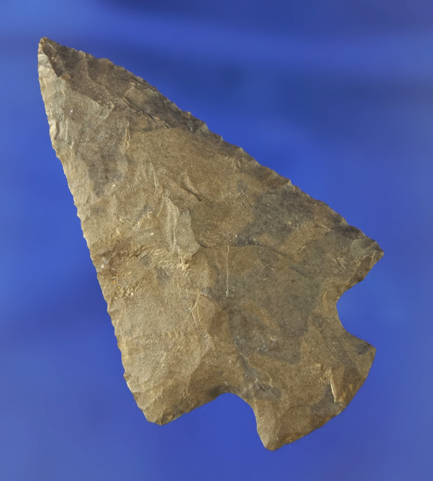 1 5/8" Cotaco Creek found in Kentucky.