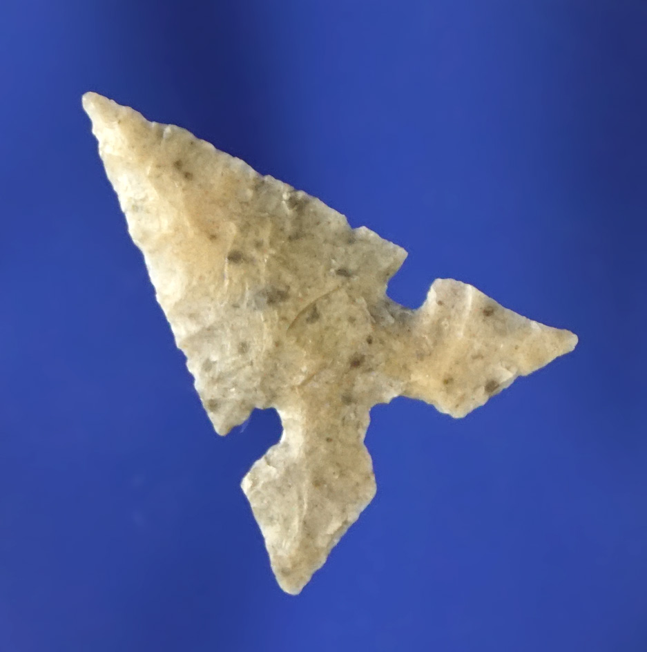 Well styled 15/16" Harrell point that is very thin. Found in Zapata County Texas.