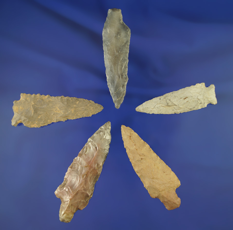 Set of five Midwestern arrowheads in good condition, largest is 2 5/8".