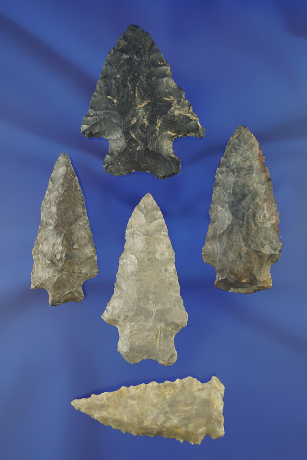 Set of five Ohio arrowheads, largest is 2 1/4".