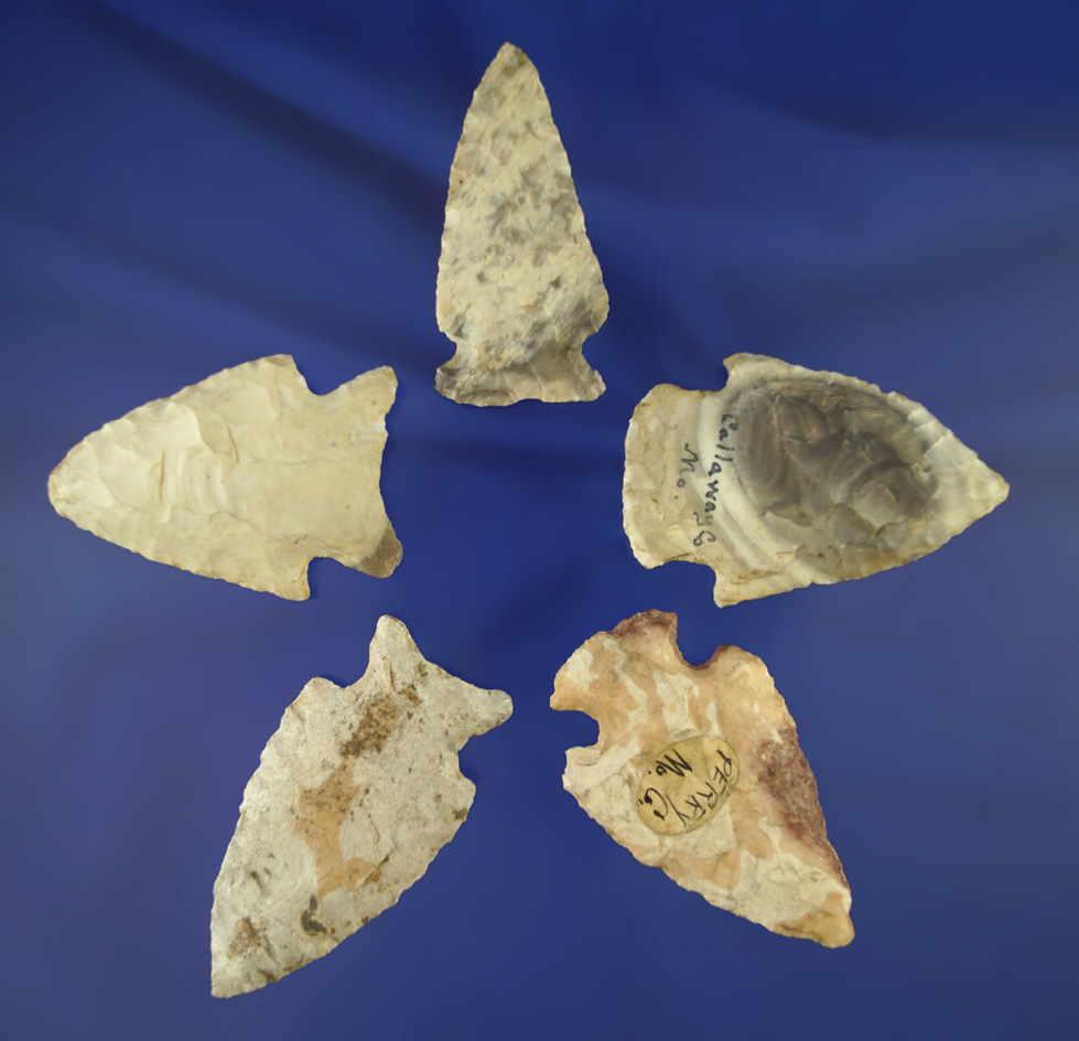 Set of five Missouri arrowheads in good condition, largest is 2 5/8".
