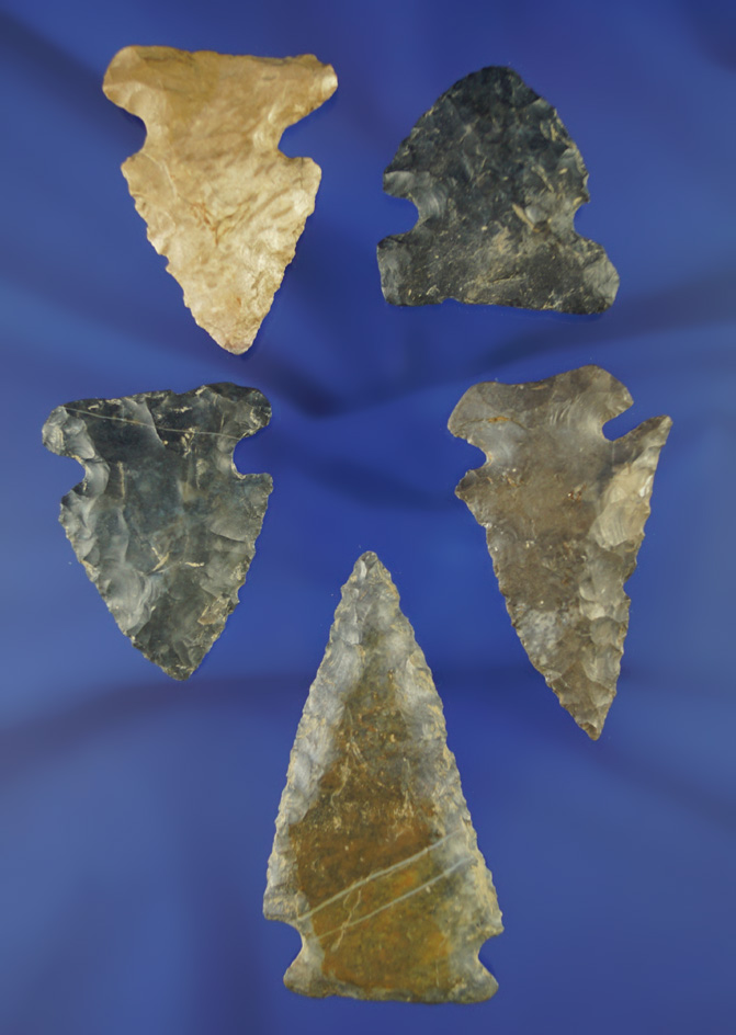 Set of five assorted Ohio arrowheads including a Dovetail, largest is 2 5/16".