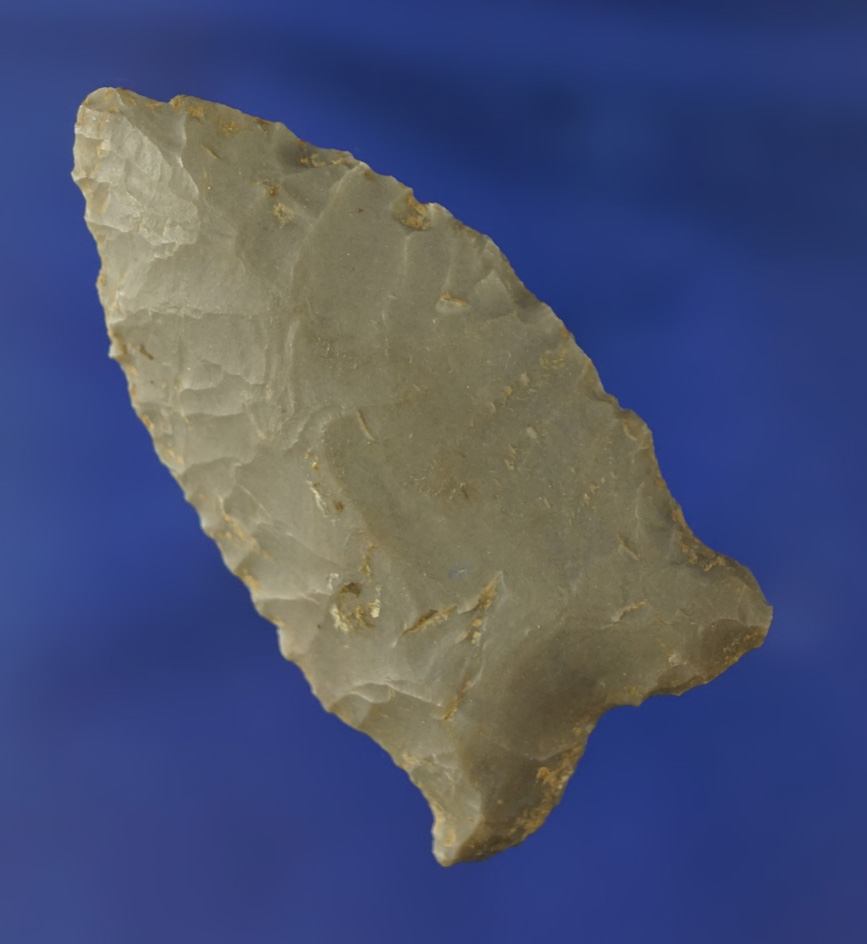 2 1/8" Hornstone Greenbrier found in southern Ohio.