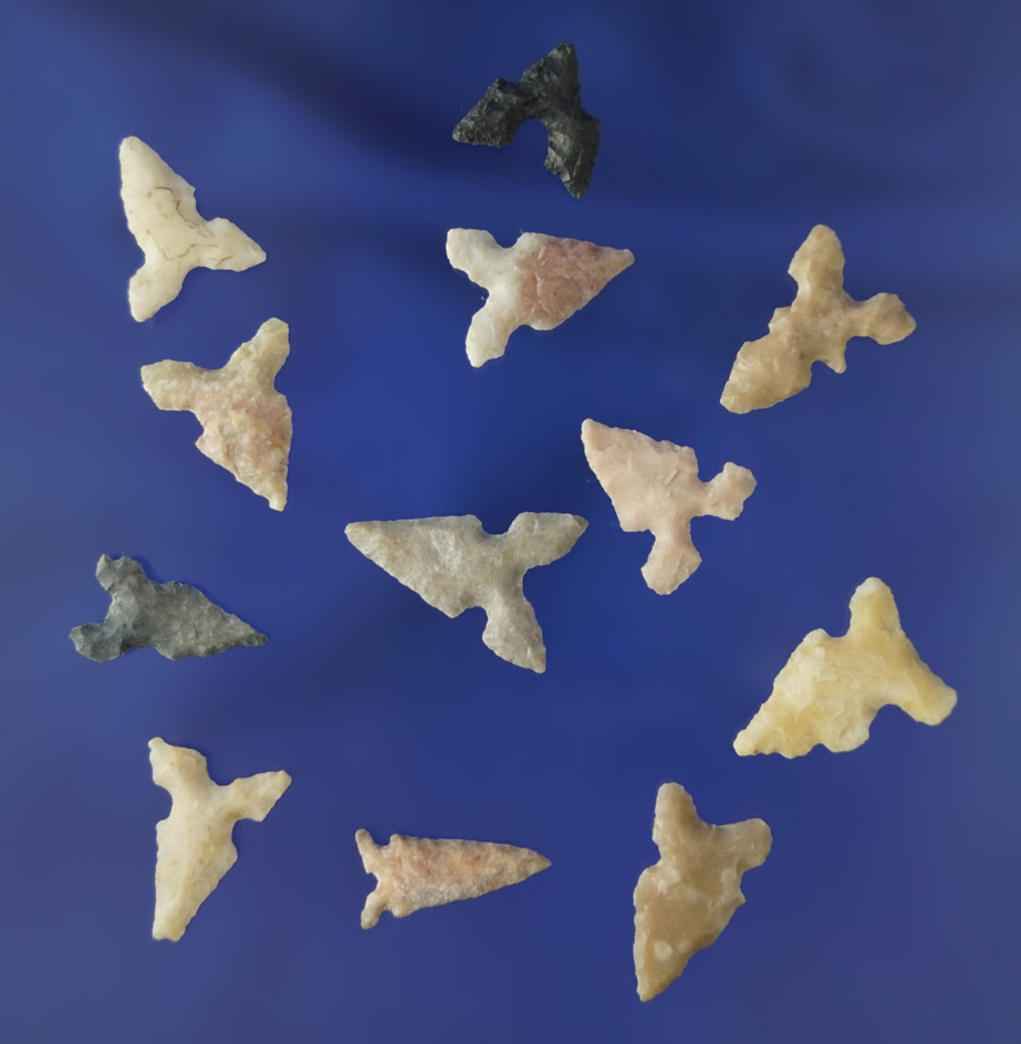 Group of 12 assorted Texas Toyah points, largest is 3/4".