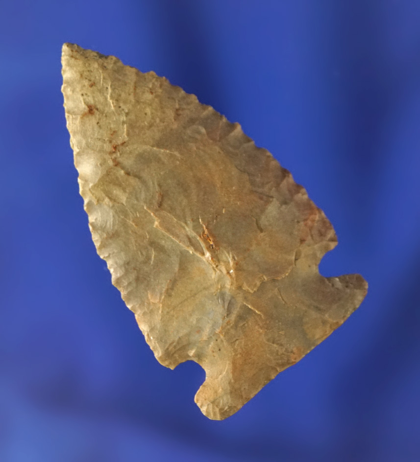 1 13/16" archaic sidenotch point with micro serrations along edges found in Ohio.