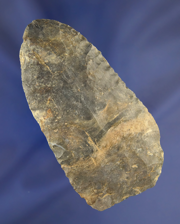 3 5/8" Coshocton Flint Blade found in Ohio.
