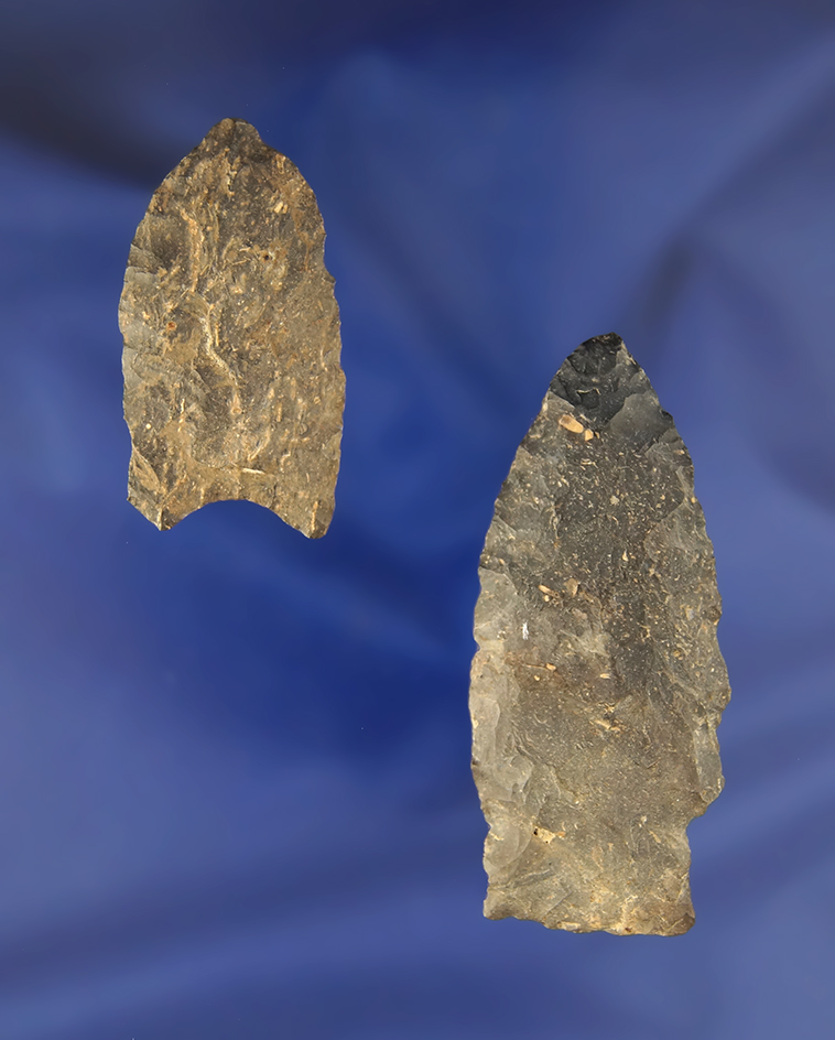 Pair of Coshocton Flint Paleo Points found in Ohio. Largest is 2 1/4".