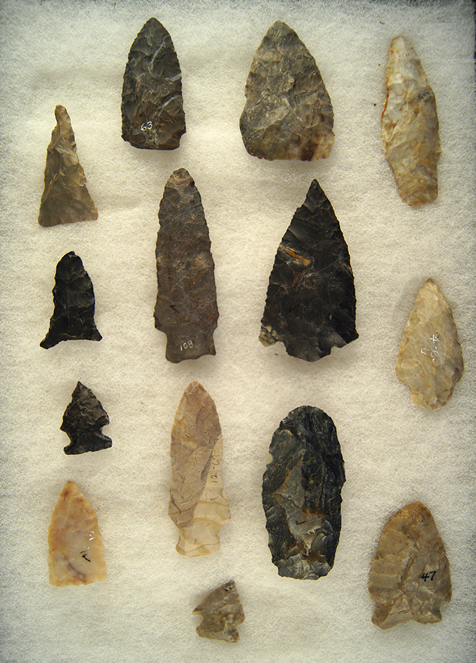 Set of 14 Ohio Points found by Lar Hothem. Largest is 2 7/8".
