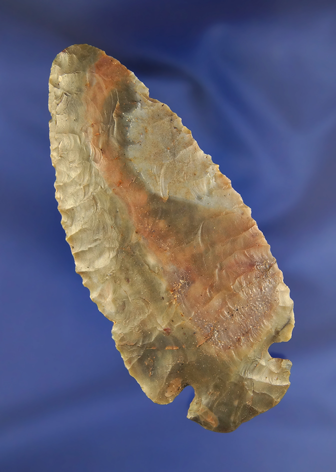 3 3/4" Highly Colored Sonora Dovetail found in Brown Co., Ohio.