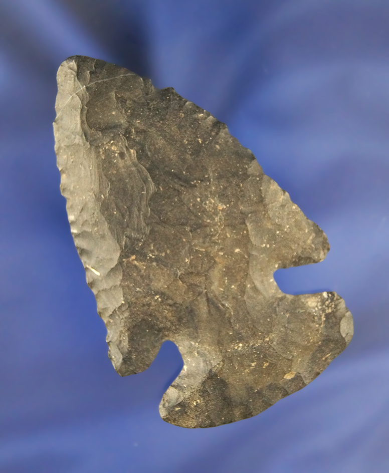 3 1/8" Archaic Bevel made from Nellie Chert. Found in Knox Co., Ohio. Ex. Jack Hooks.