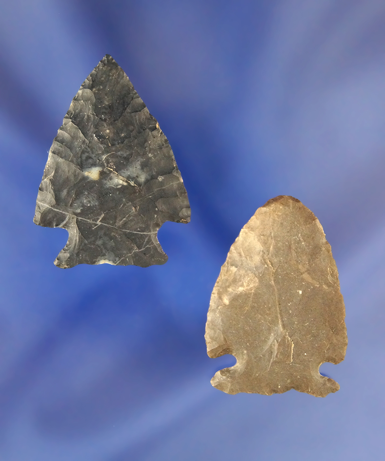 Pair of nicely made Coshocton Flint Dart Points found in Ohio, largest is 1 1/2".