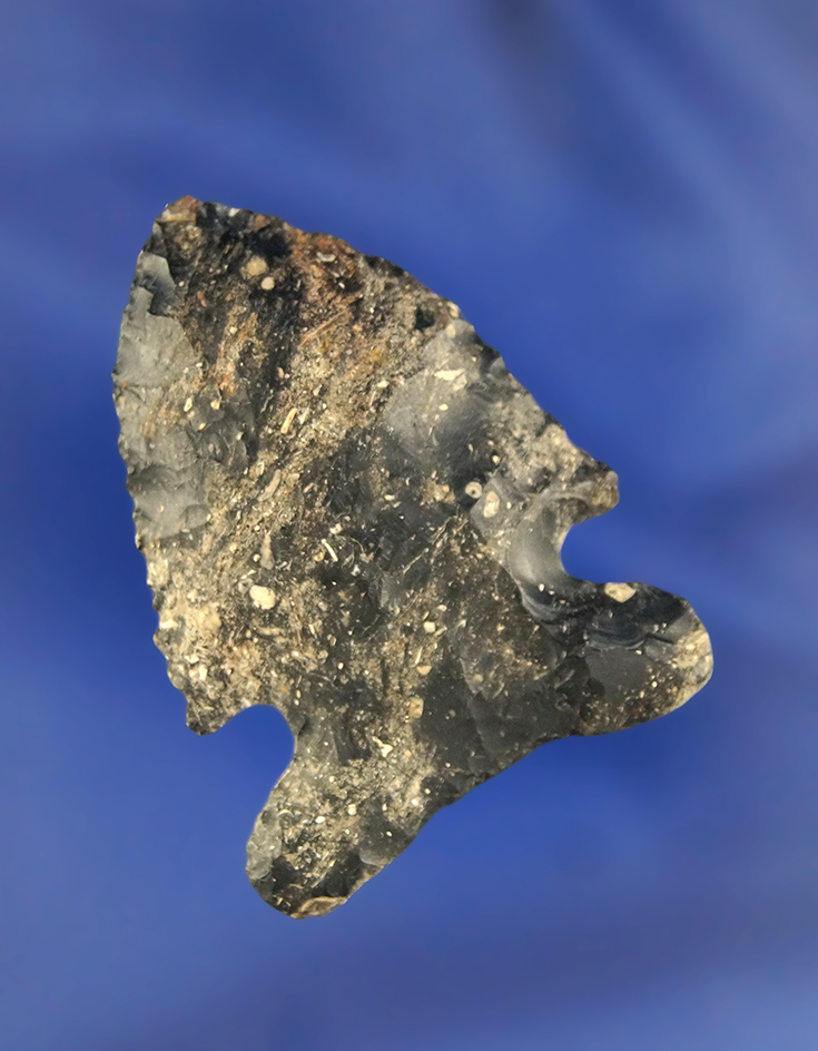 1 3/4" Coshocton Archaic Sidenotch found in Richland Co., Ohio.