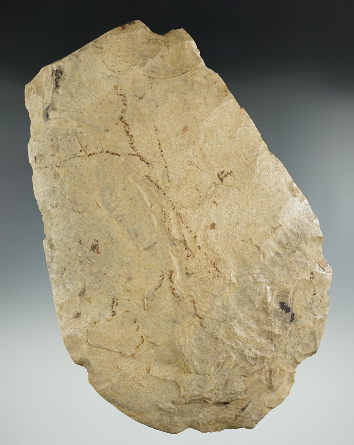 7 1/4" Flint Hoe made from Millcreek Chert, found in Indiana. Comes with a Jackson COA.
