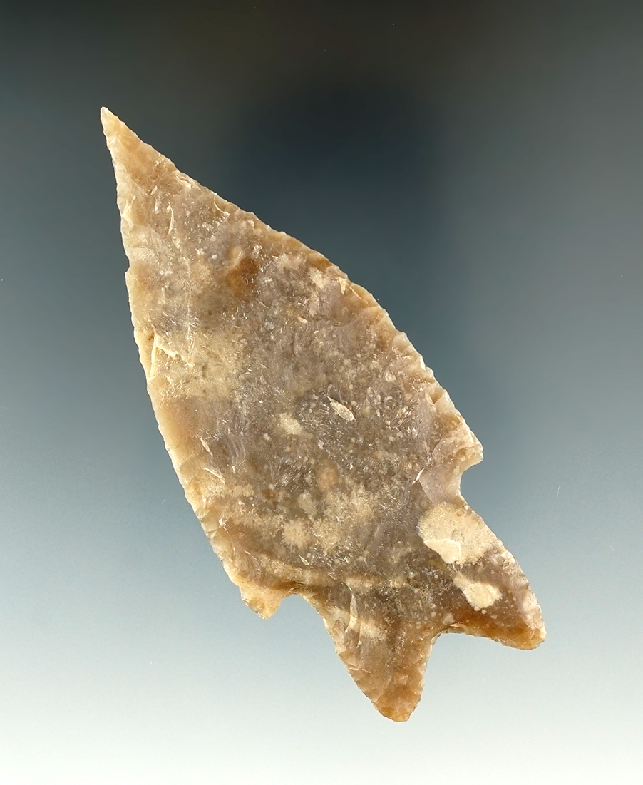 3 3/8" Pedernales found in Bandera Co., Texas. Comes with a Rogers COA.