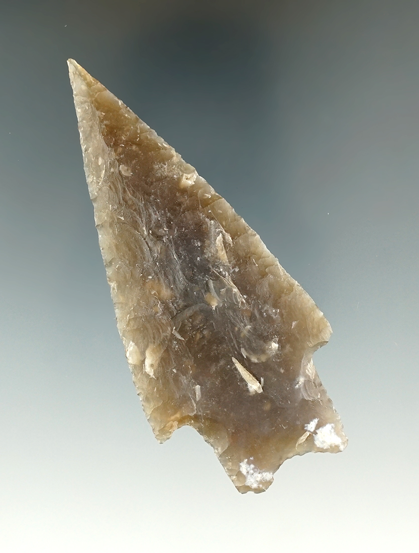 3 3/8" Pedernales made from dark brown chert, found in Edwards Co., Texas. Rogers COA.