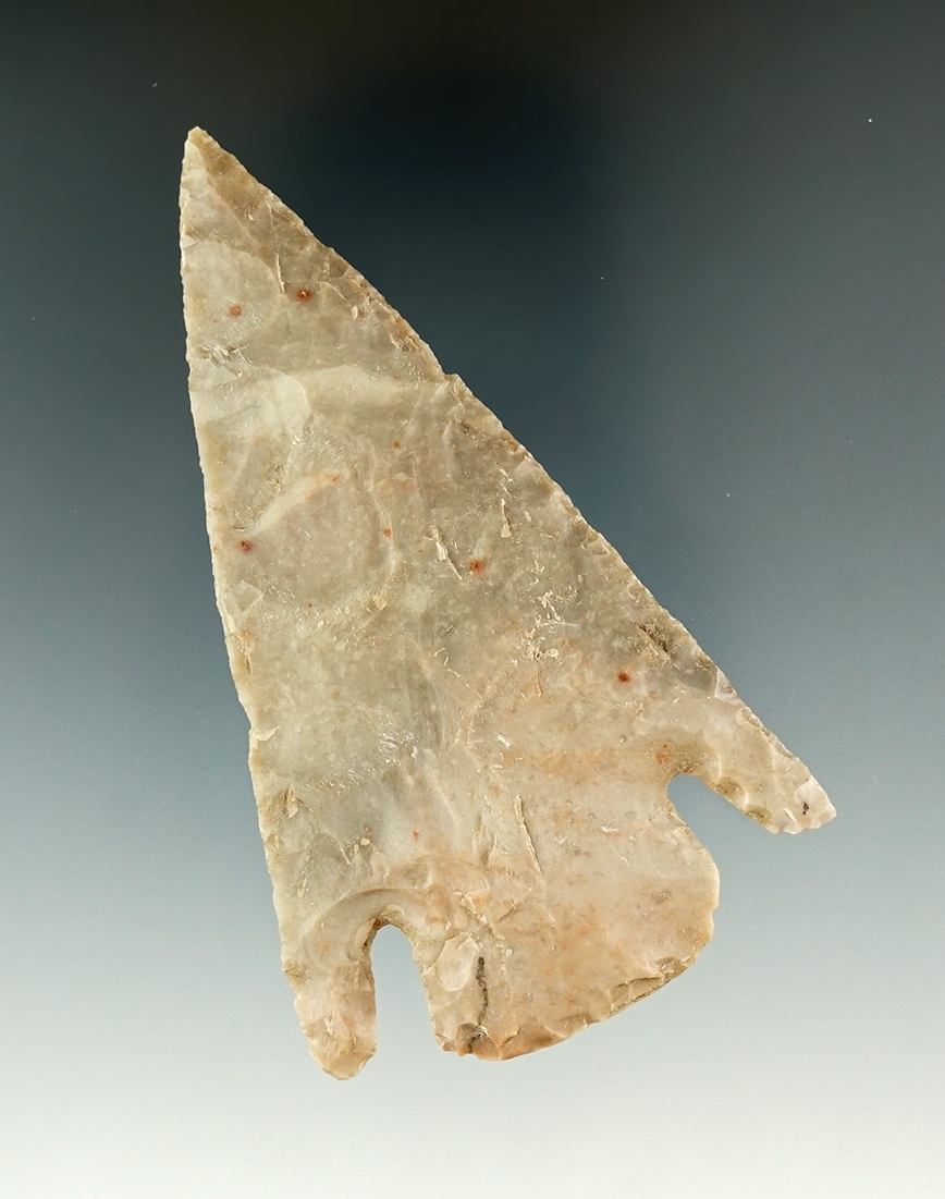 3 1/8" Castroville made from tan and gray chert, found in Burnet Co., Texas.  Rogers COA.