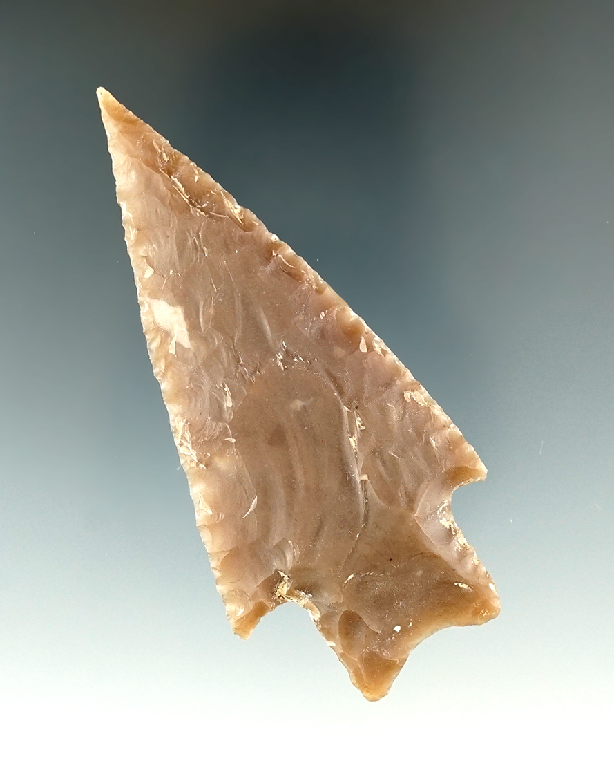 3 1/8" Pedernales made from dark brown chert, found in Bandera Co., Texas.  Rogers COA.