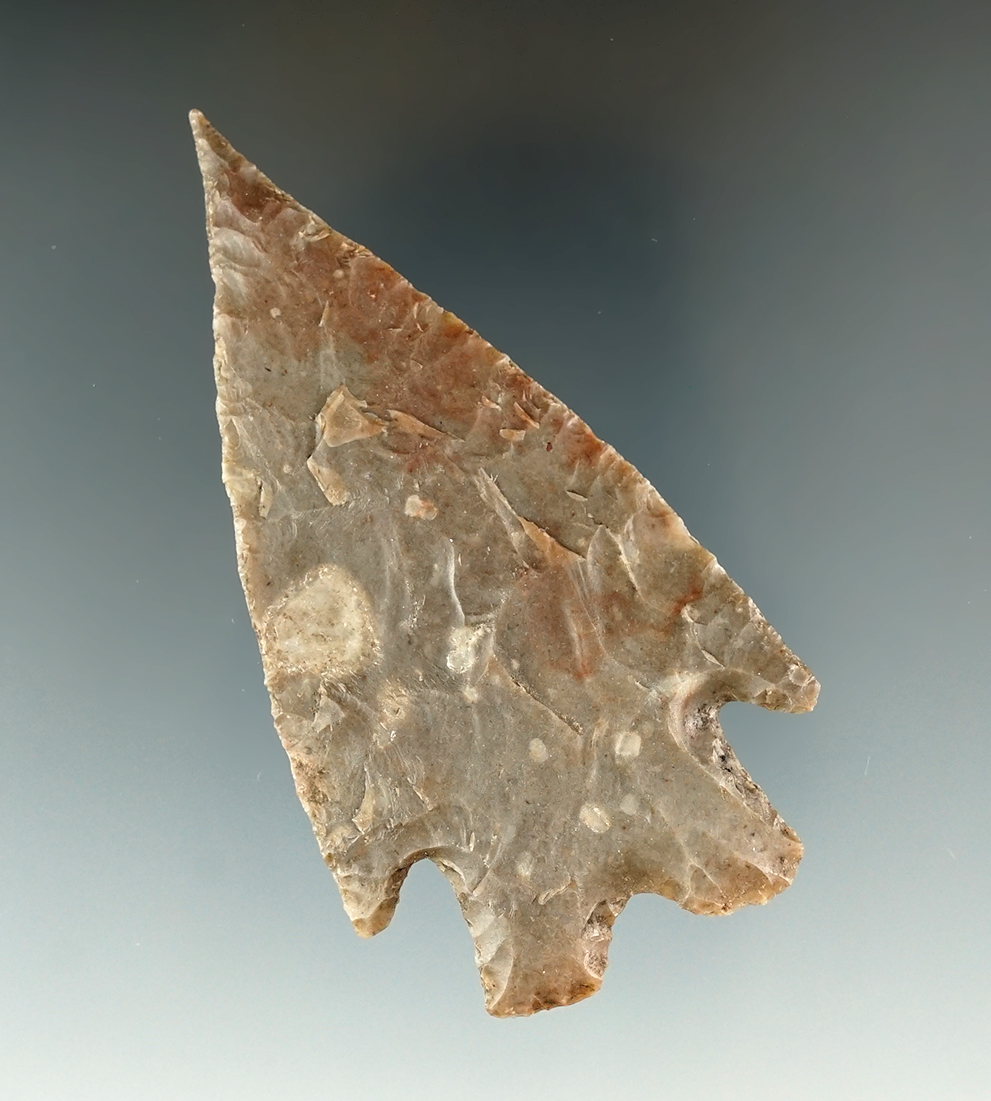 3 1/8" Montell found by Silvester Luna Jr. in Travis Co., Texas. Comes with a Rogers COA.