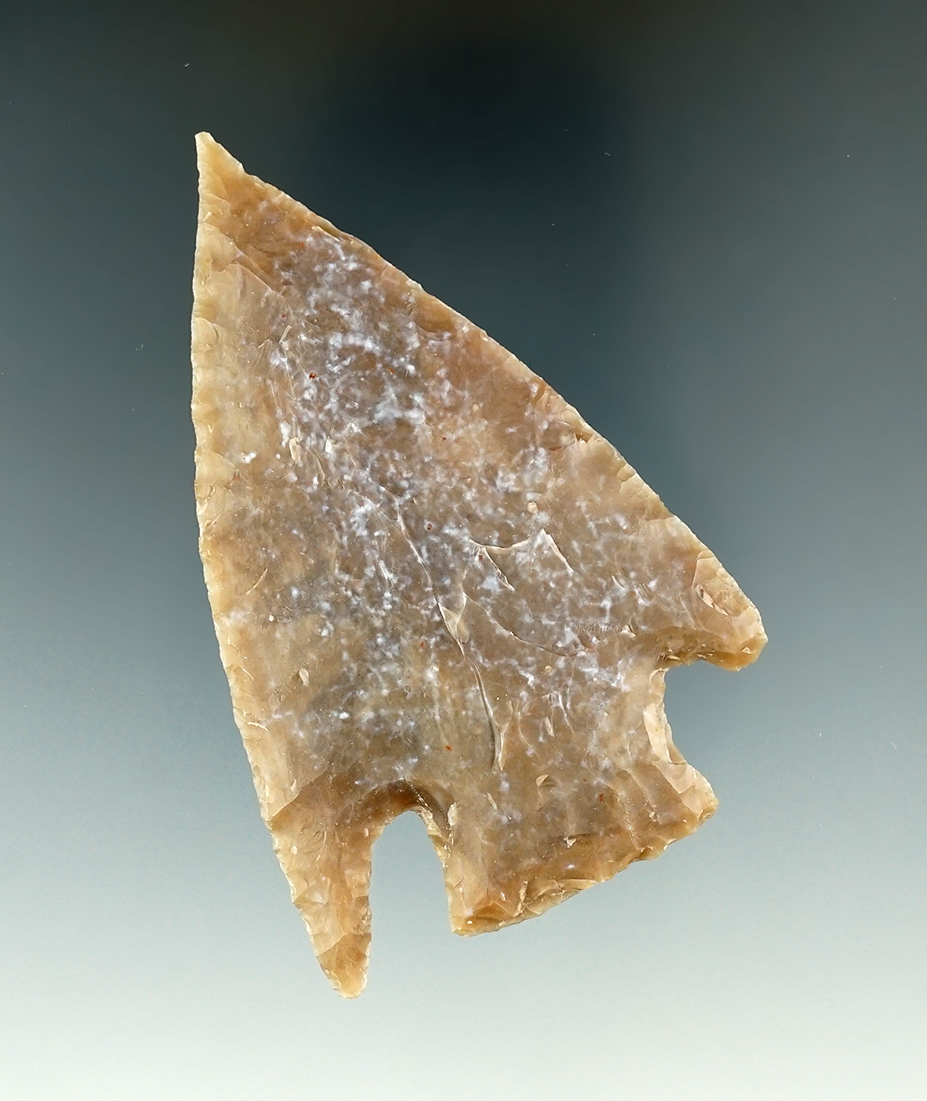 2 3/4" Castroville made from tan chert, found in Texas.