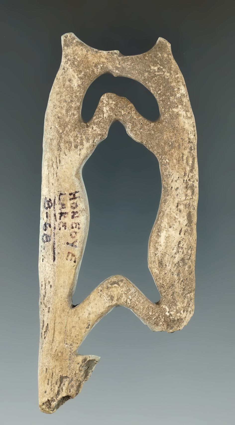 3 13/16" Upper section of an Iroquois bone, featuring dual Fox effigies found in New York.