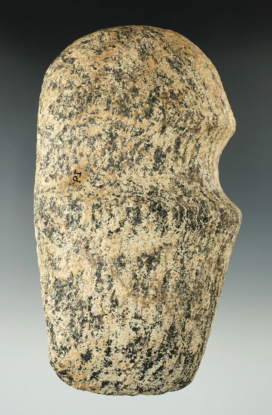 Very attractive 5 1/2" Gneiss Axe found in Franklin Co., Ohio. Very colorful example.
