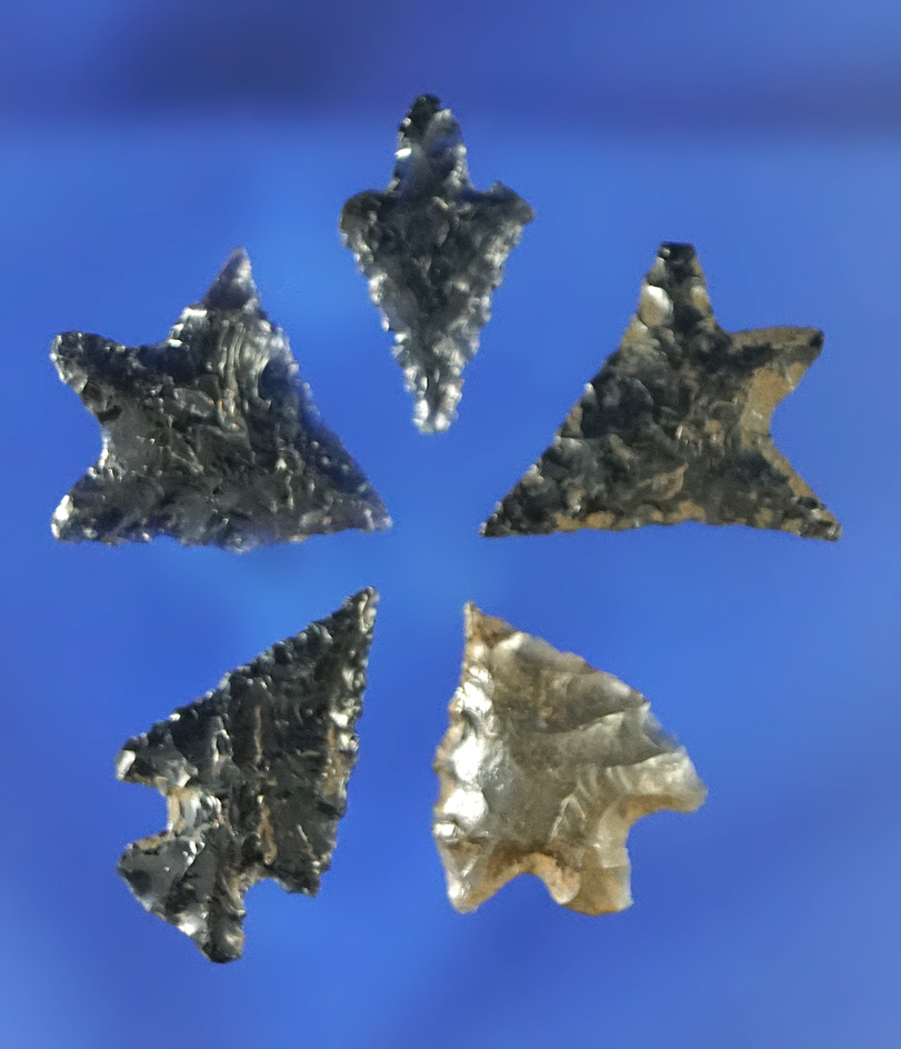 Set of five very nice obsidian arrowheads found in Oregon, largest is 3/4".