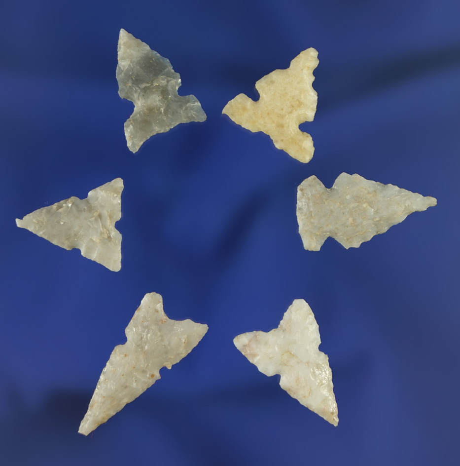 Set of six well styled Bird Points, largest is 1"  Found in the southwestern U. S.