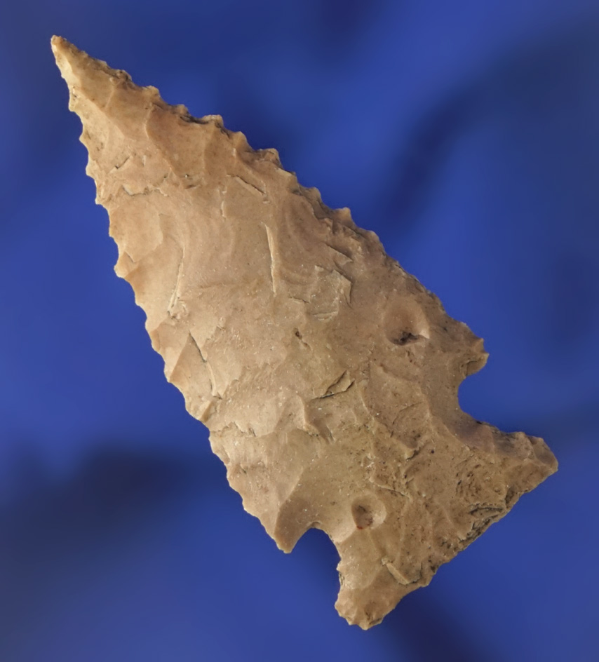 Nice edge serrations on this 2" Ensor point found in Texas.