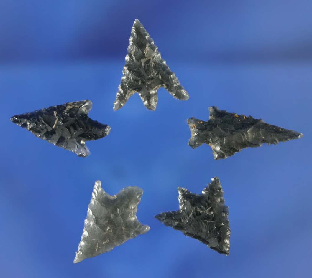 Set of five well-made obsidian arrowheads found in Oregon, largest is 9/16".