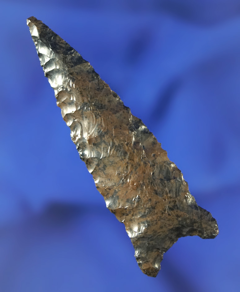 Very nice! 2 1/2" Buchanan Eared made from attractive Mahogany Obsidian - Stermer COA.