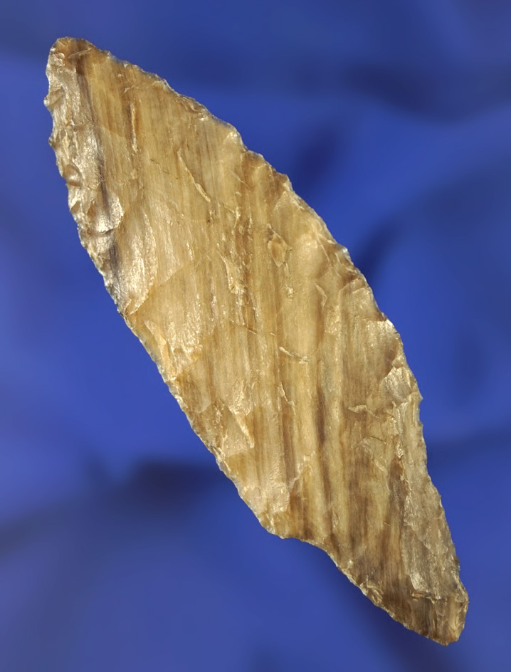 Rare style! 3 1/4" Paleo Lind Coolee made from nicely striped Agatized Wood Rogers and Michel COA's.