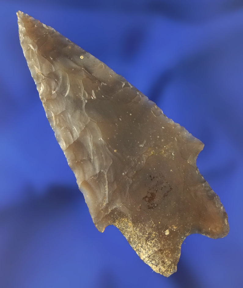 Nice! 1 15/16" Pedernales point found in Texas that is exceptionally well flaked from Root Beer  Fli