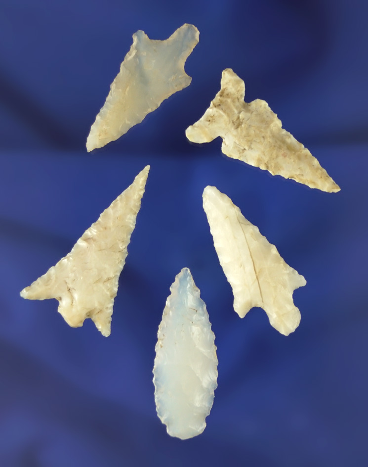 Set of five assorted arrowheads found near the Columbia River, largest is 1 1/4".