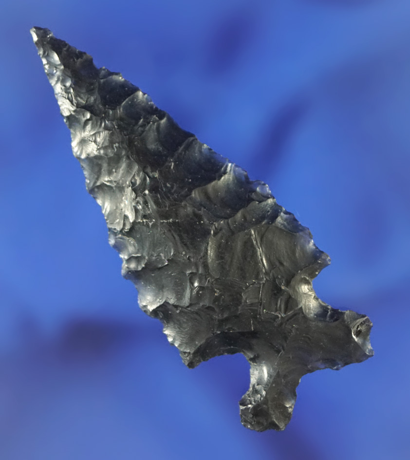 2 1/4" obsidian Elko found in Klamath County Oregon. Ex. Bob Wilson collection.