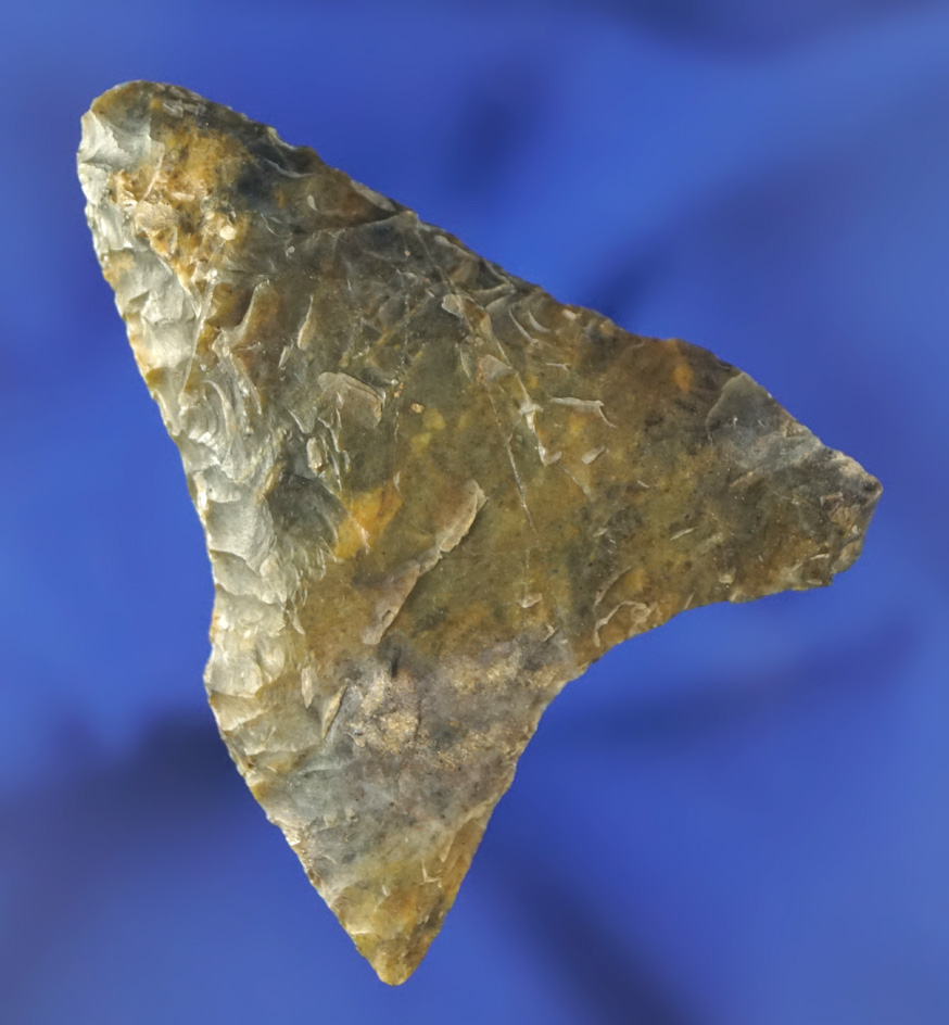 2 1/16" long by 1 5/8" wide Columbia Mule Ear - Gilliam County Oregon by Kaye Don Bruce.