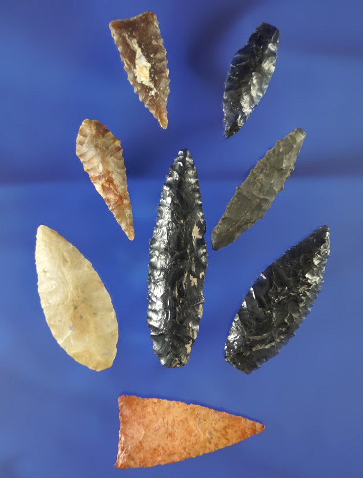 Set of eight very nice Columbia River arrowheads found in Oregon, largest is 2 1/16".