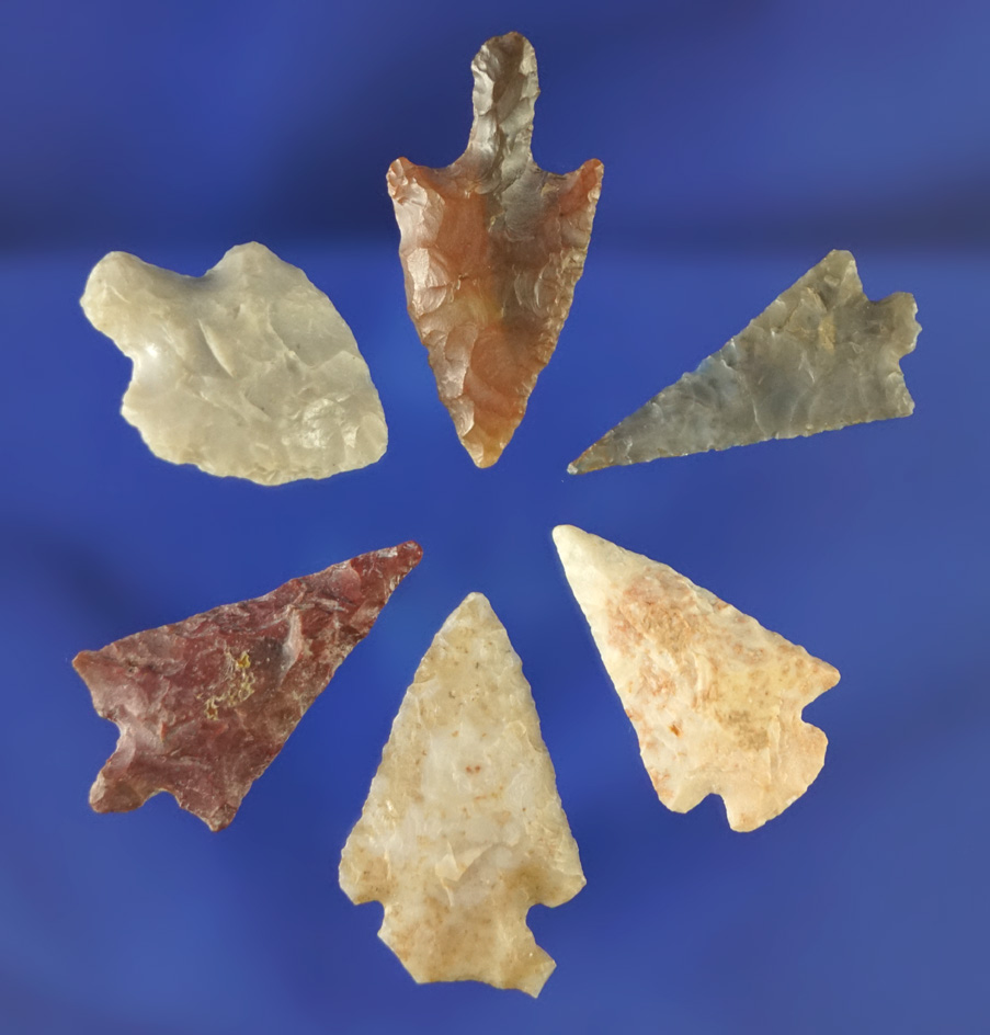 Set of five assorted arrowheads found in Oregon, largest is 1".
